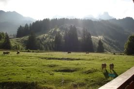 Ausblick