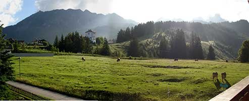 Ausblick