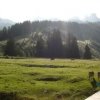 Ausblick