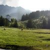 Ausblick